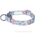 Safety Training Martingale Dog Collar No Buckle